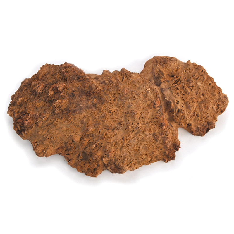 Australian Red Coolibah Burl Cap - 1 kg – 2 kg